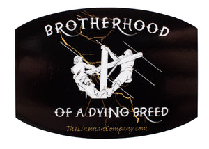 "Brotherhood Lightning" 2x3" Sticker