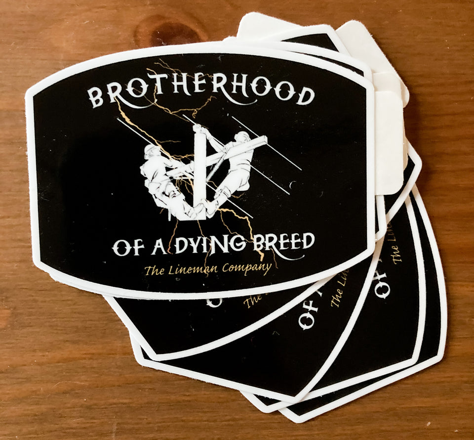 "Brotherhood Lightning" 2x3" Sticker